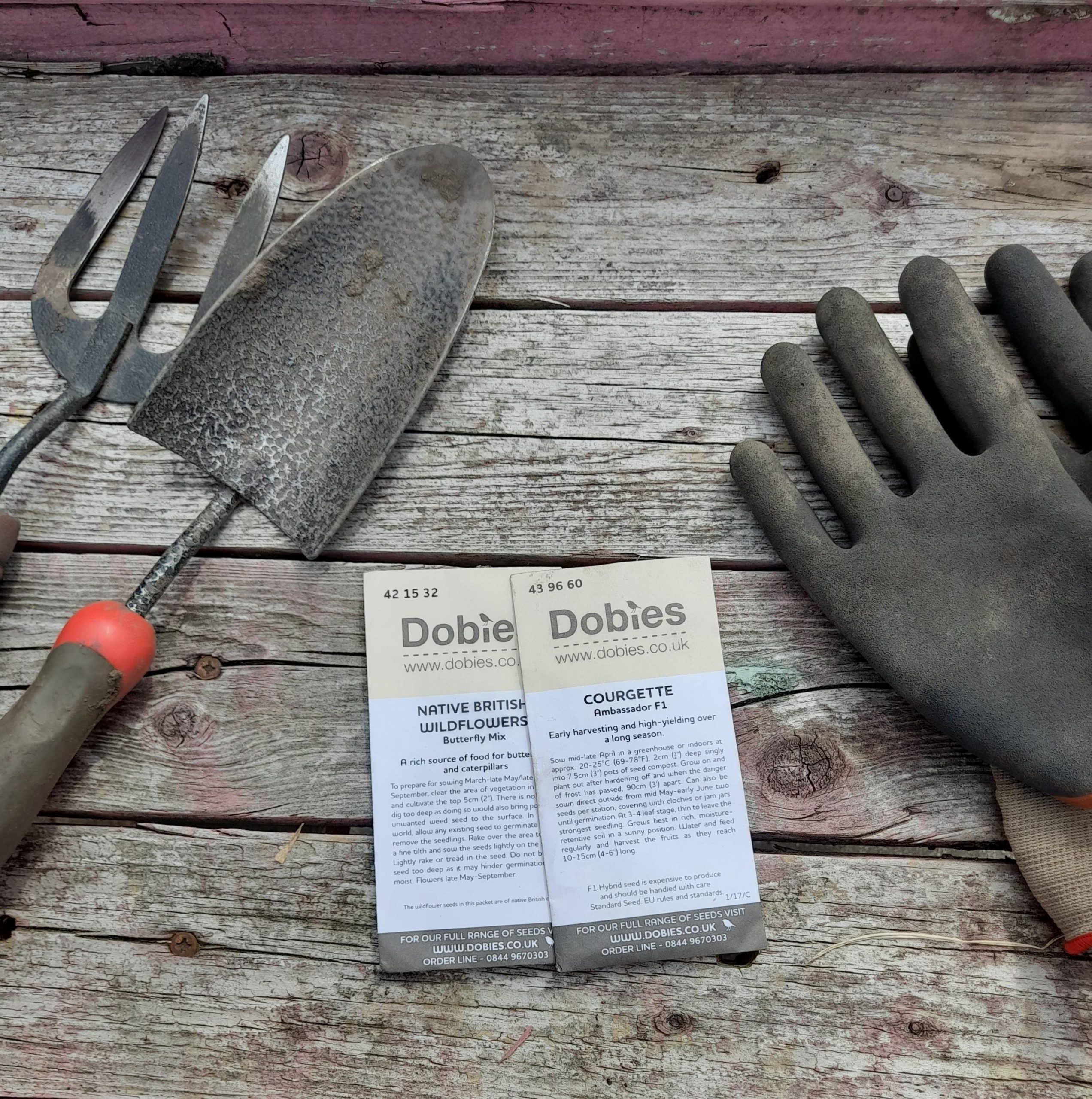 Creative Support’s Allotment; Come on Down!