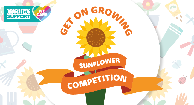 Sunflower Competition