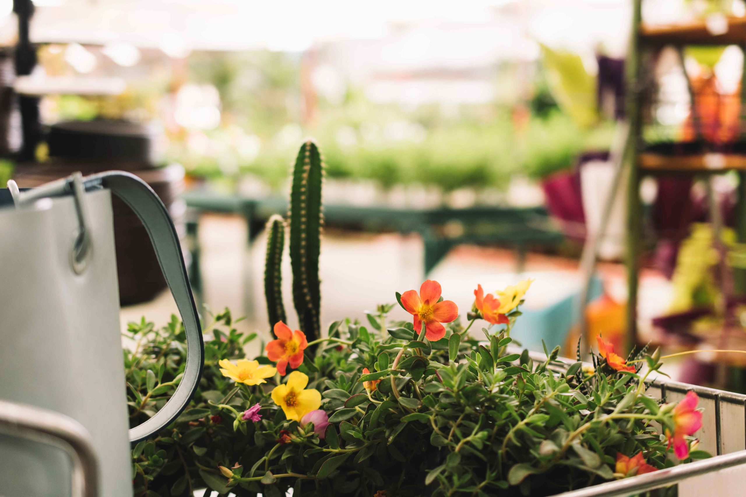 Garden Centre Glory