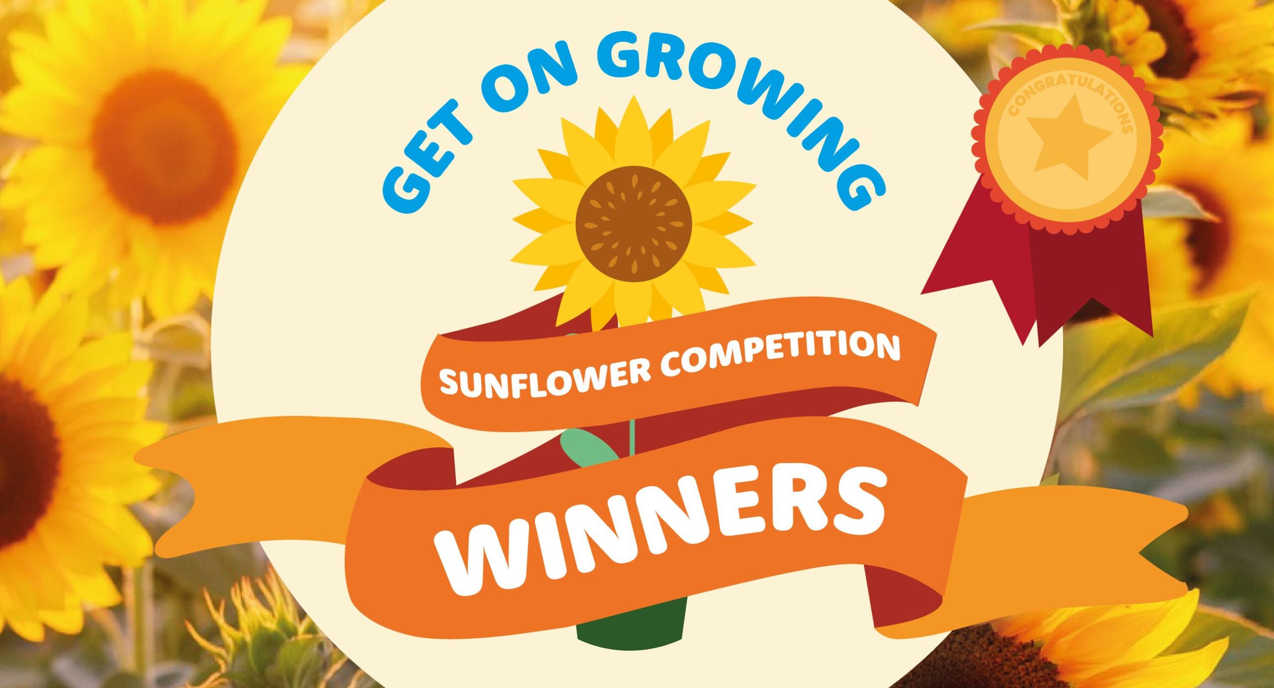 Sunflower Competition Winners